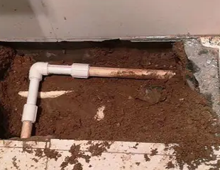 积石山测漏水哪家好