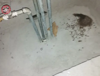 积石山卫生间测漏水价格明细