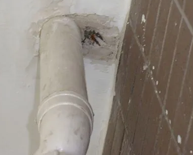 积石山漏水检测哪家好